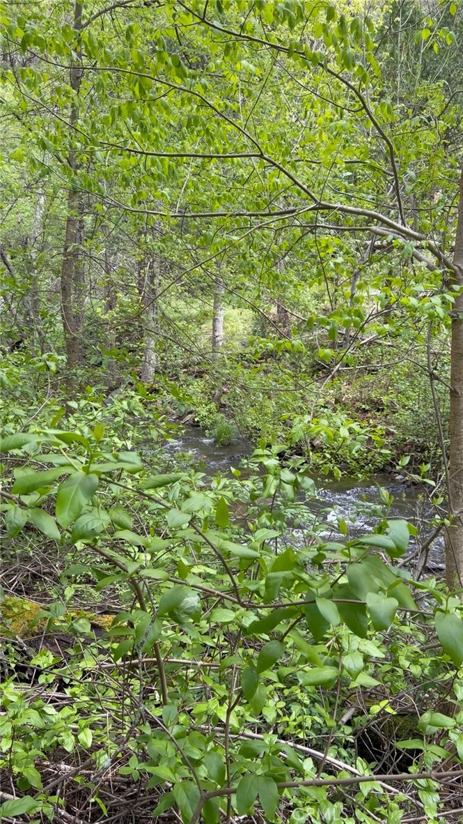 39 Anderson Valley Rd, Coulterville, CA 95311