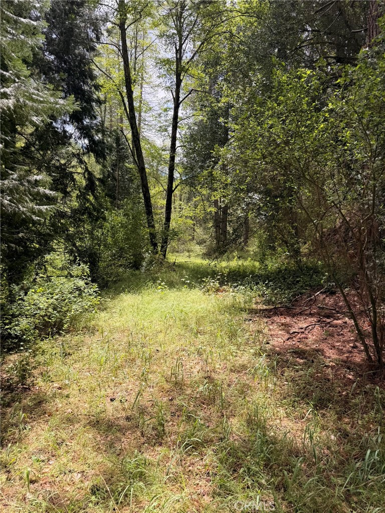 39 Anderson Valley Rd, Coulterville, CA 95311