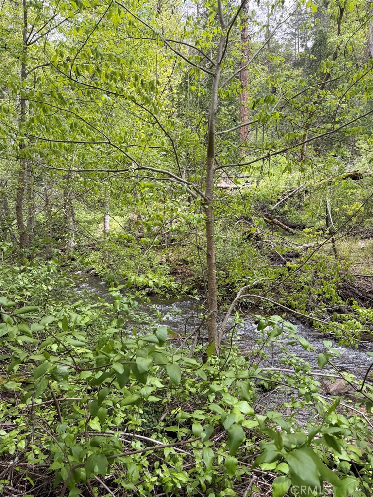 39 Anderson Valley Rd, Coulterville, CA 95311