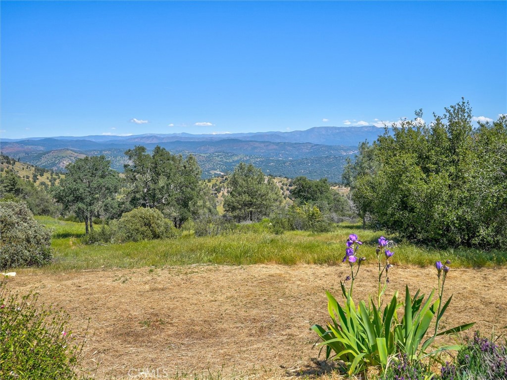 3754 Guadalupe Fire, Catheys Valley, CA 95306