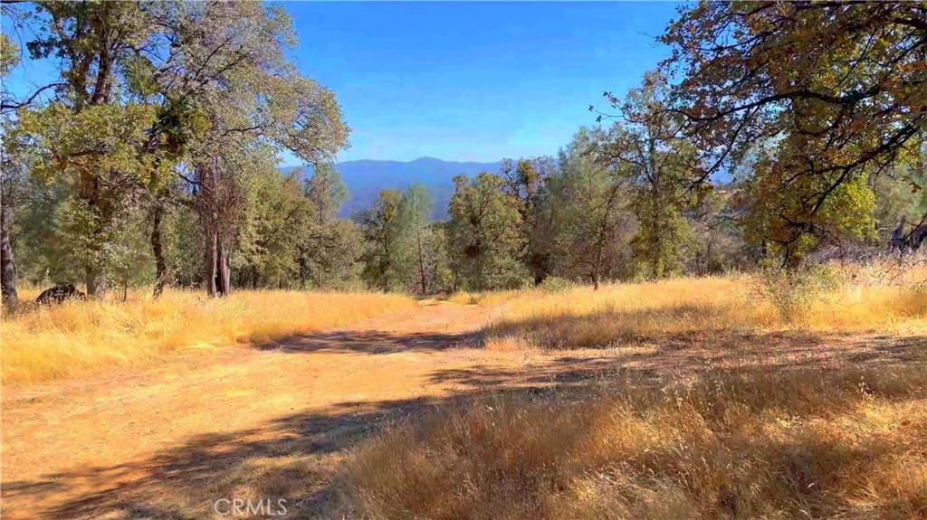 5341 Paddy Hill Rd, Mariposa, CA 95338