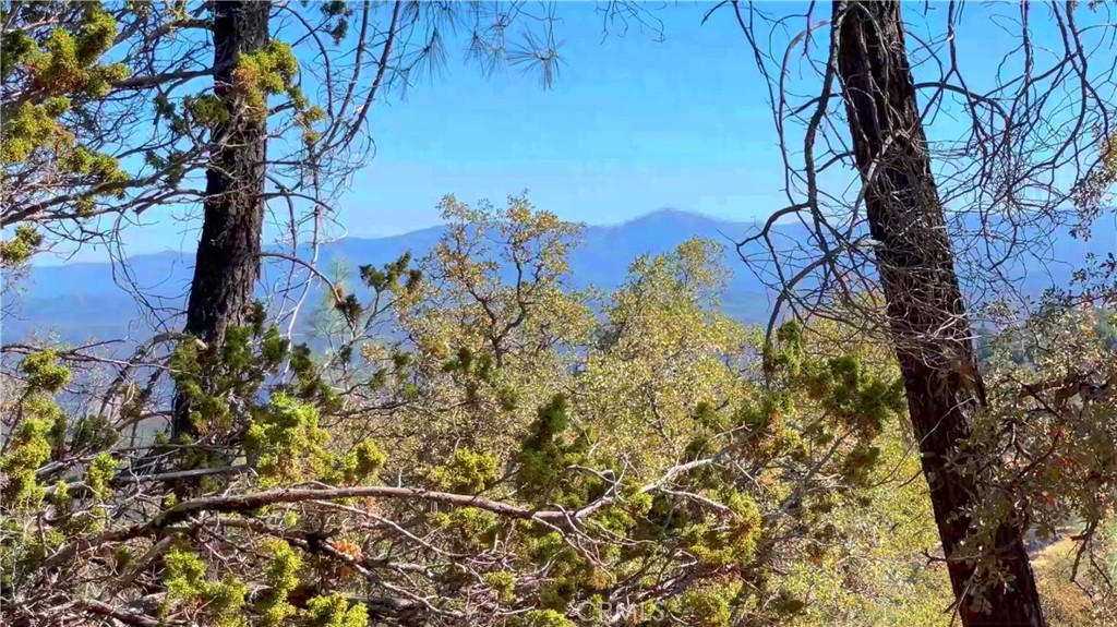 5341 Paddy Hill Rd, Mariposa, CA 95338