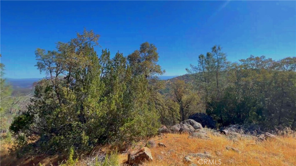 5341 Paddy Hill Rd, Mariposa, CA 95338