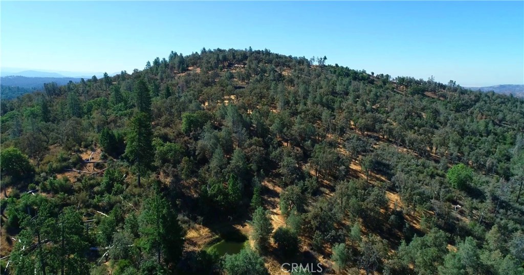5341 Paddy Hill Rd, Mariposa, CA 95338