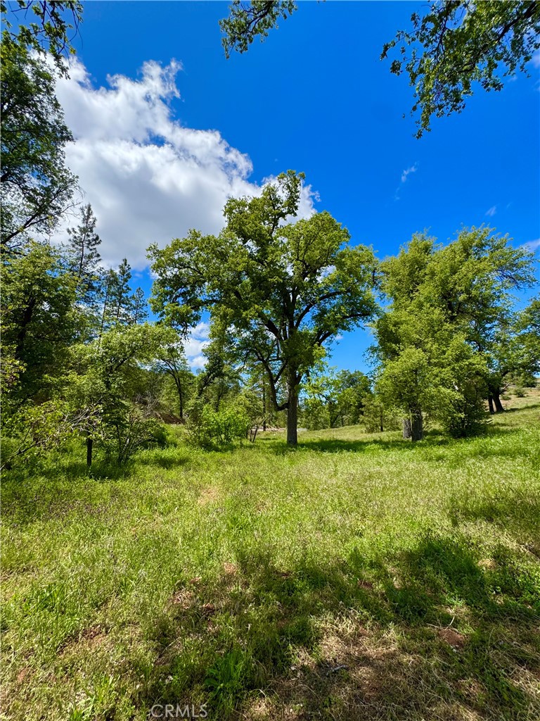 5628 E Whitlock Rd, Mariposa, CA 95338