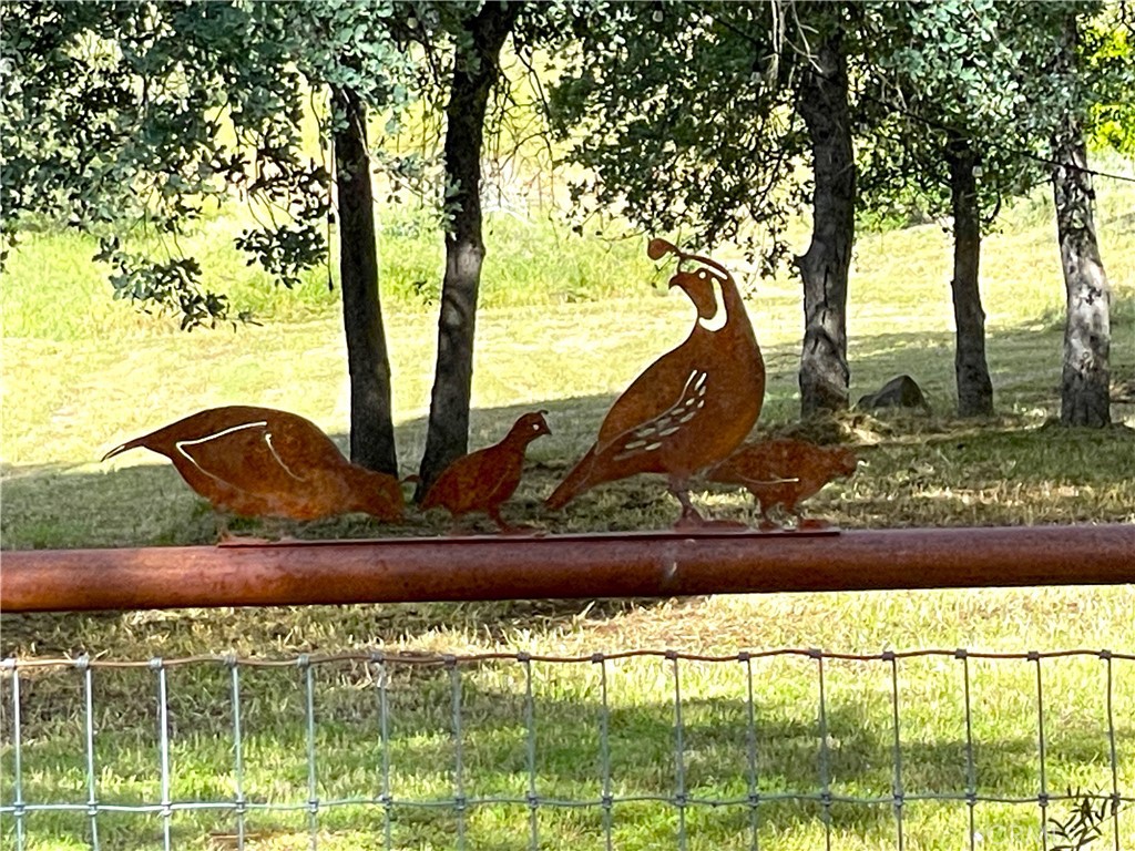 4176 Sebastopol Rd, Mariposa, CA 95338