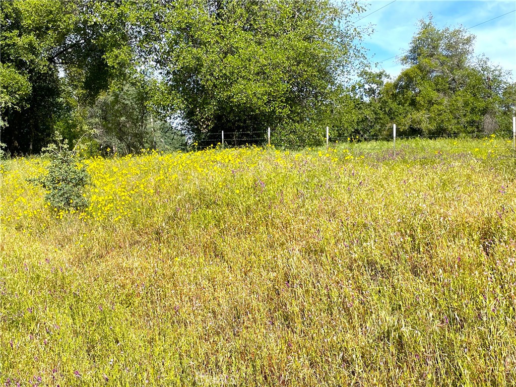 4176 Sebastopol Rd, Mariposa, CA 95338