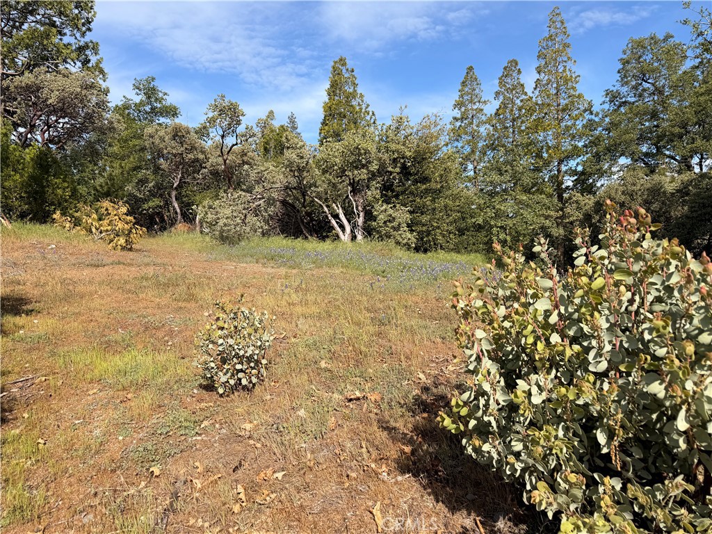 39 Manzanita Dr, Oakhurst, CA 93644