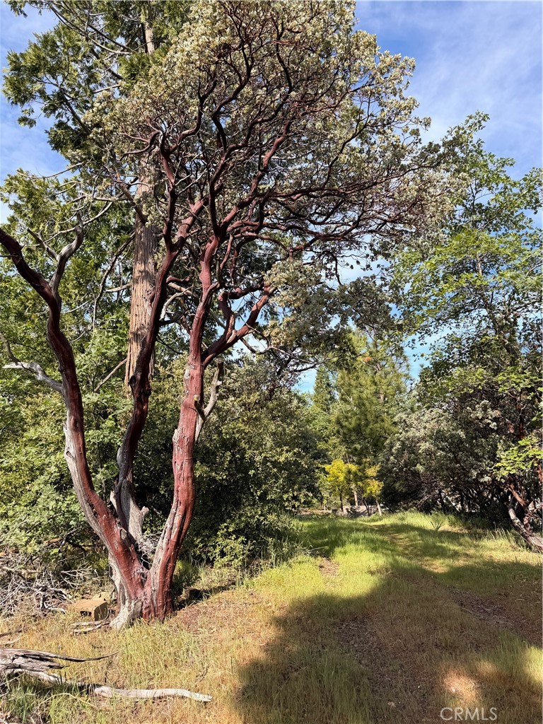 39 Manzanita Dr, Oakhurst, CA 93644