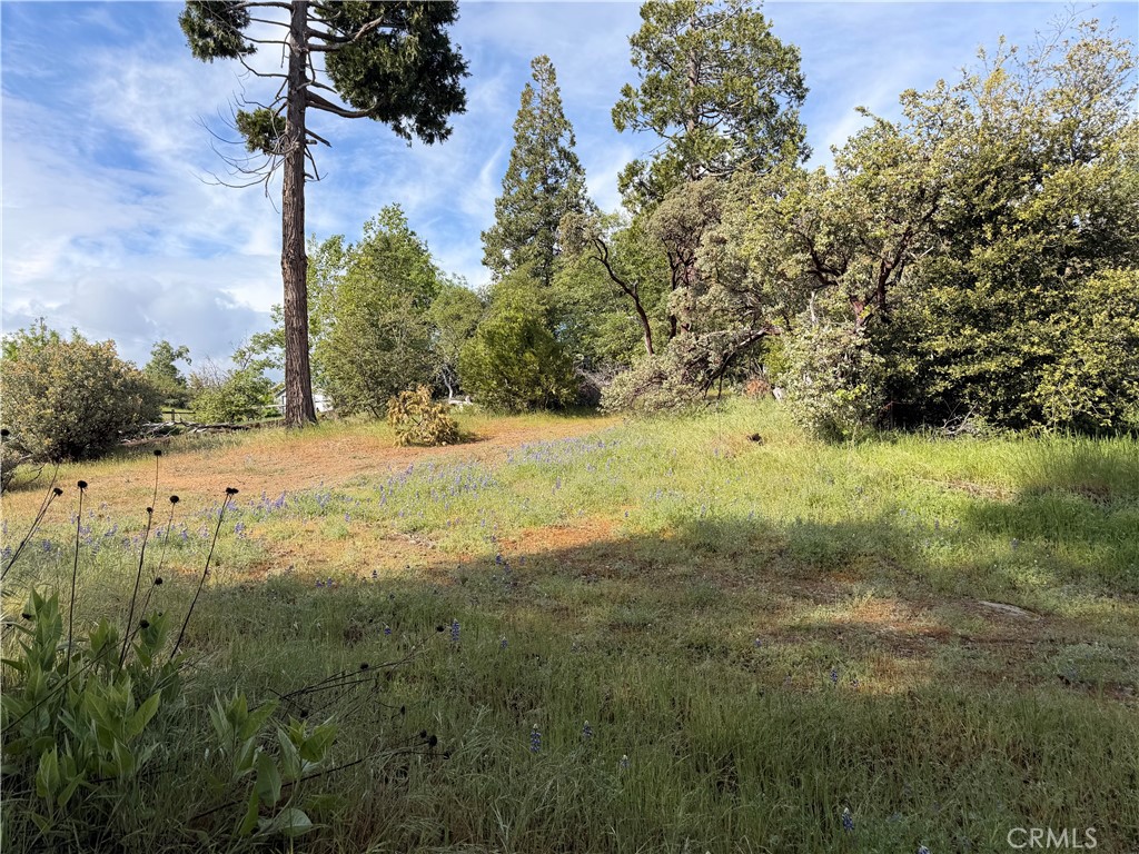 39 Manzanita Dr, Oakhurst, CA 93644