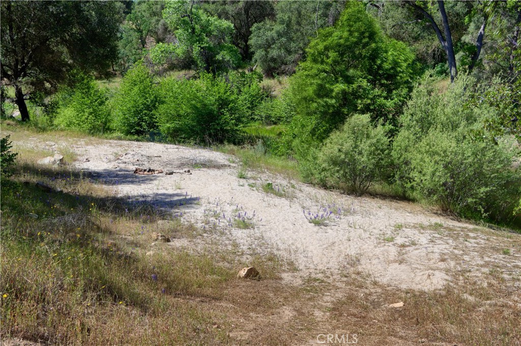 80 Polk Ranch Rd, Coarsegold, CA 93614