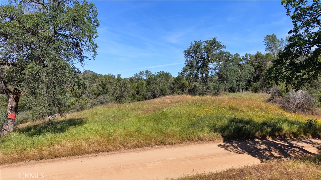 80 Polk Ranch Rd, Coarsegold, CA 93614