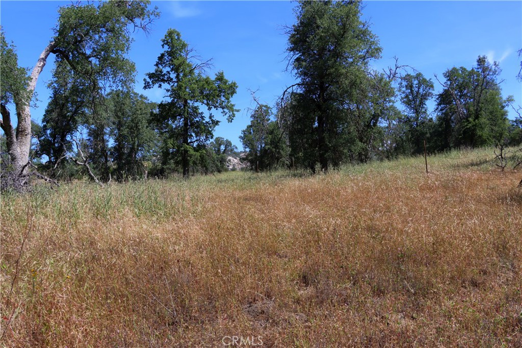 80 Polk Ranch Rd, Coarsegold, CA 93614