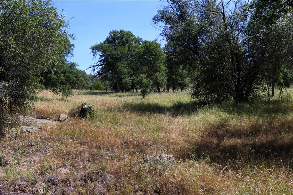 80 Polk Ranch Rd, Coarsegold, CA 93614