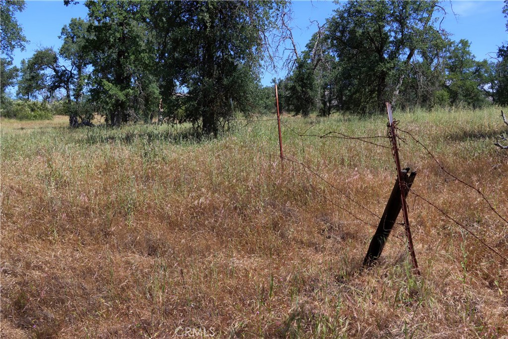 80 Polk Ranch Rd, Coarsegold, CA 93614