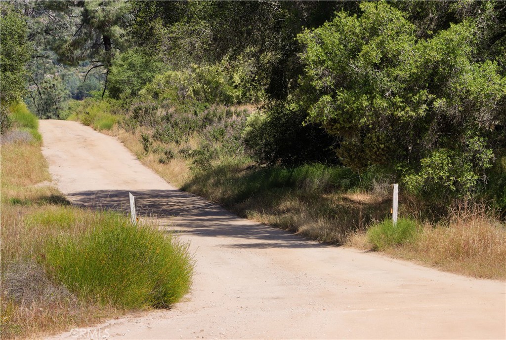 80 Polk Ranch Rd, Coarsegold, CA 93614