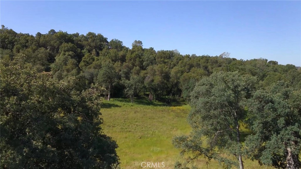 4952 Hidden Springs, Mariposa, CA 95338