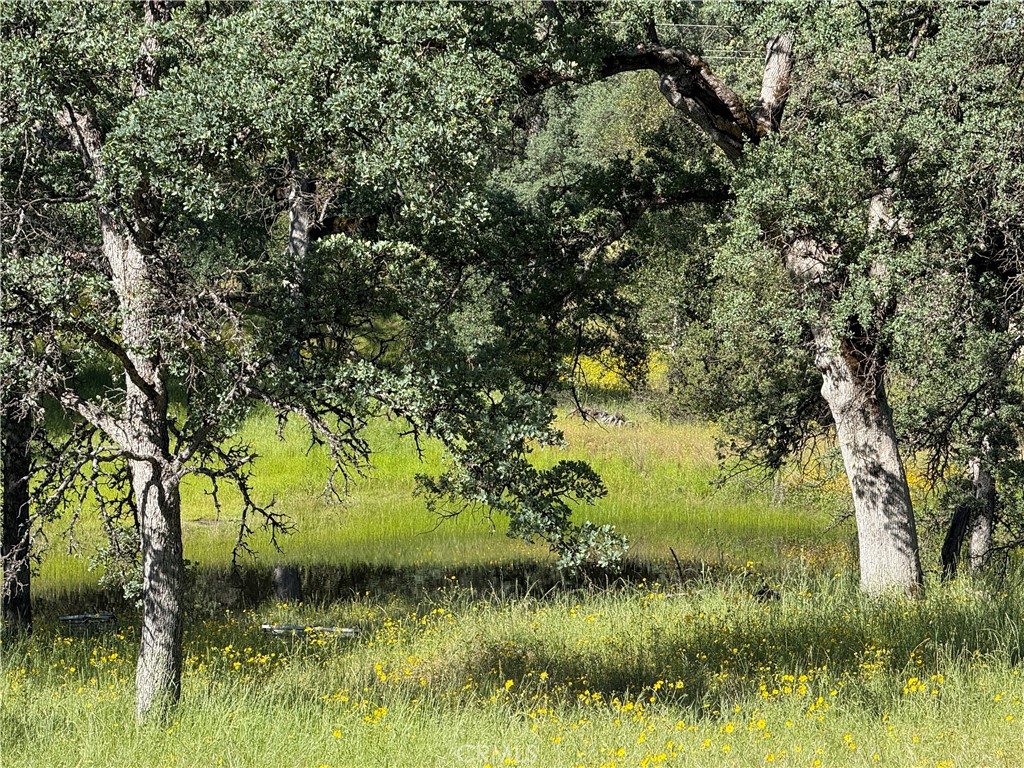 4952 Hidden Springs, Mariposa, CA 95338