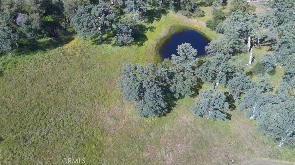 4952 Hidden Springs, Mariposa, CA 95338