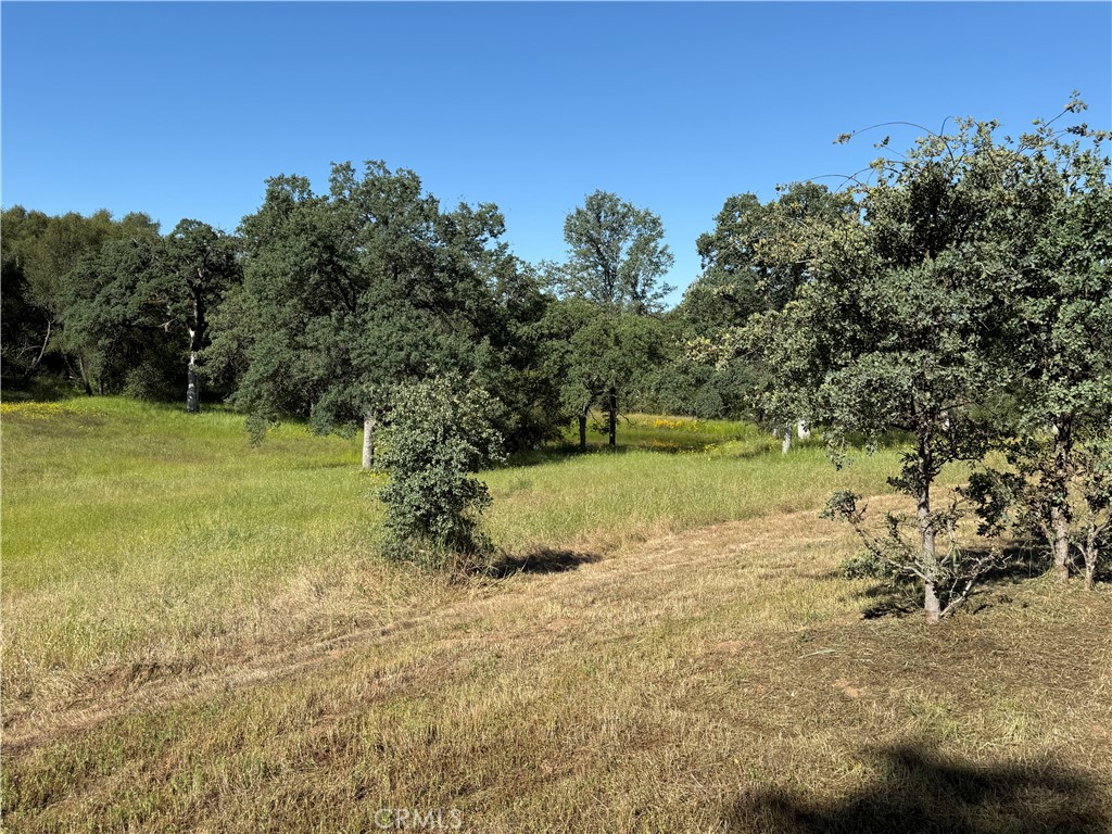 4952 Hidden Springs, Mariposa, CA 95338