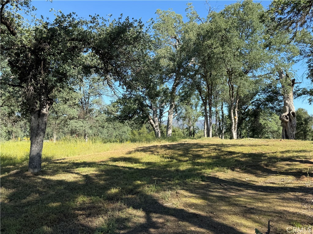 4952 Hidden Springs, Mariposa, CA 95338