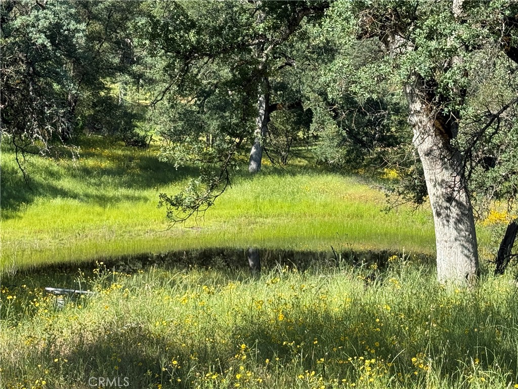 4952 Hidden Springs, Mariposa, CA 95338
