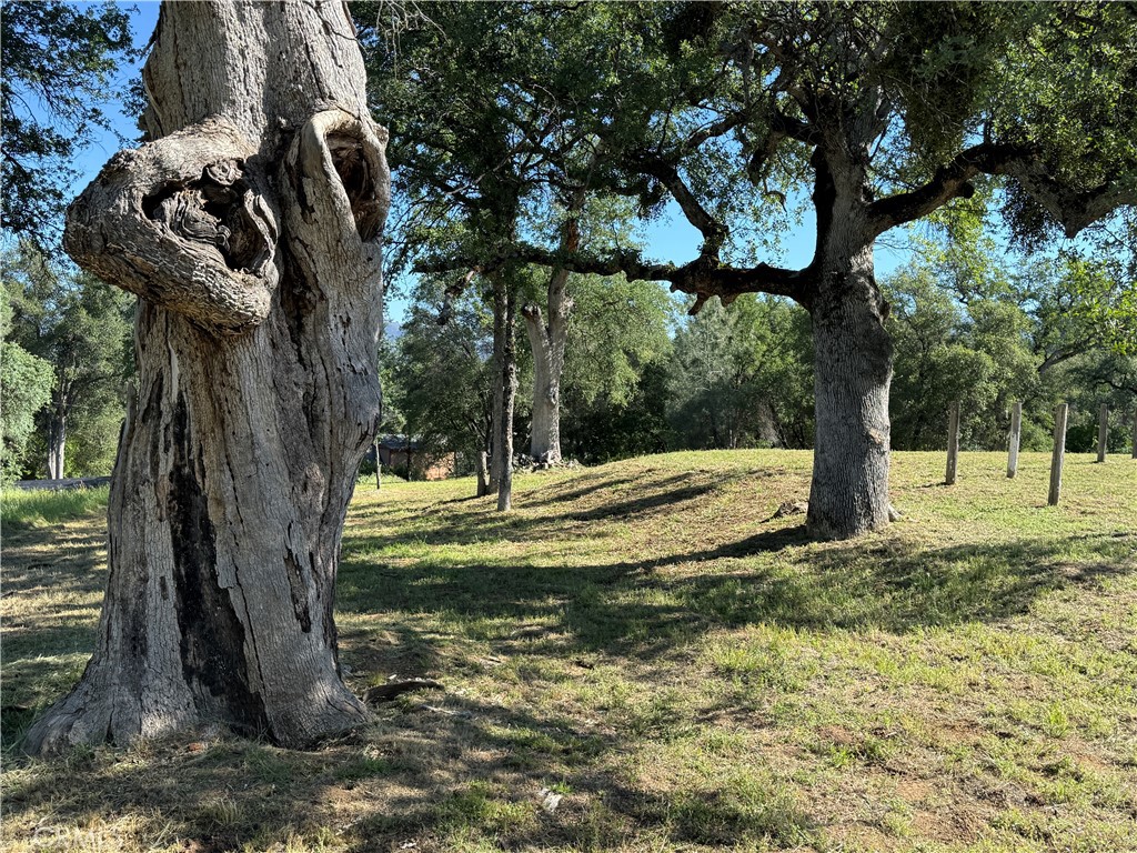 4952 Hidden Springs, Mariposa, CA 95338