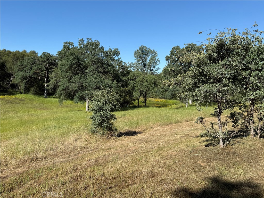 4952 Hidden Springs, Mariposa, CA 95338