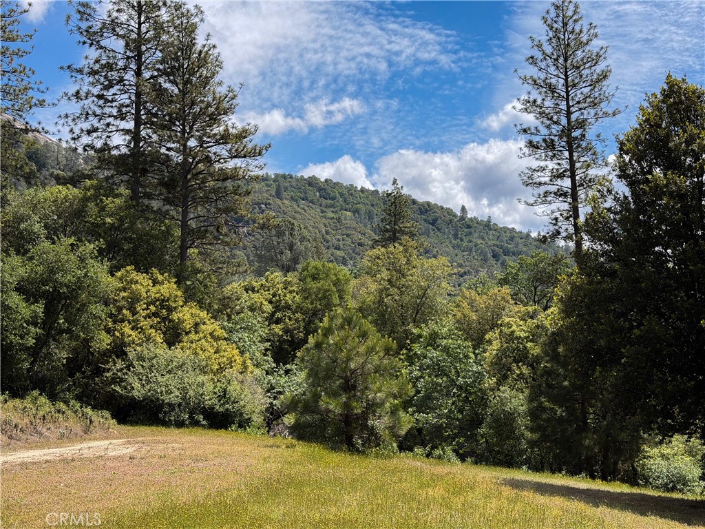 2843 E Westfall Rd, Mariposa, CA 95338