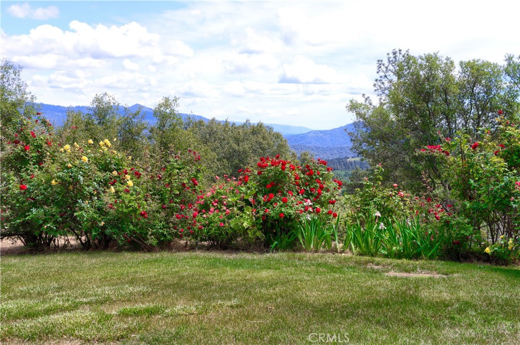 5603 Clouds Rest Rd, Mariposa, CA 95338