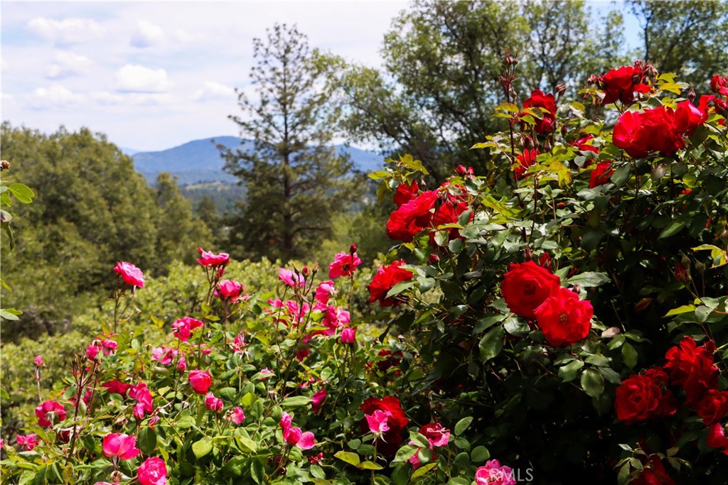 5603 Clouds Rest Rd, Mariposa, CA 95338