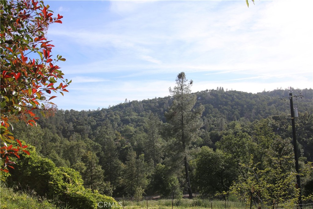 5636 E Whitlock, Mariposa, CA 95338