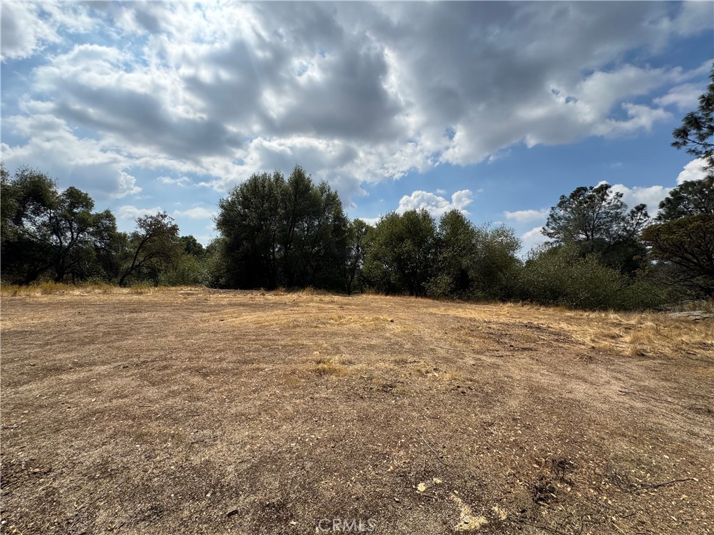 2 AC Summerhill LN, Coarsegold, CA 93614