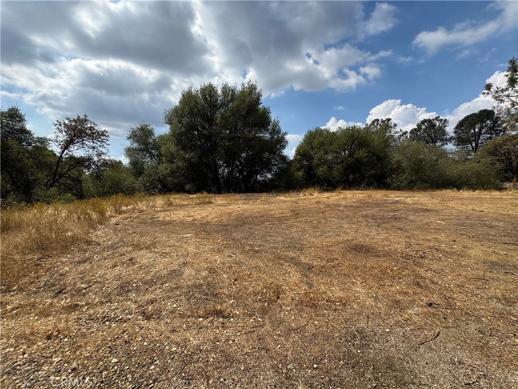 2 AC Summerhill LN, Coarsegold, CA 93614