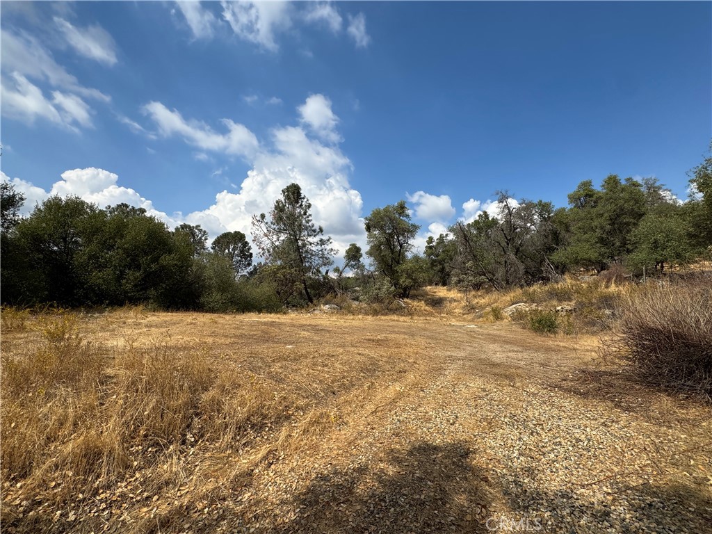 2 AC Summerhill LN, Coarsegold, CA 93614