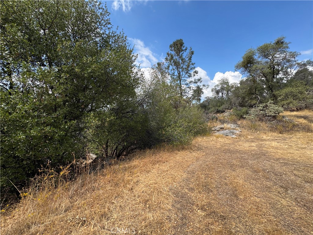 2 AC Summerhill LN, Coarsegold, CA 93614
