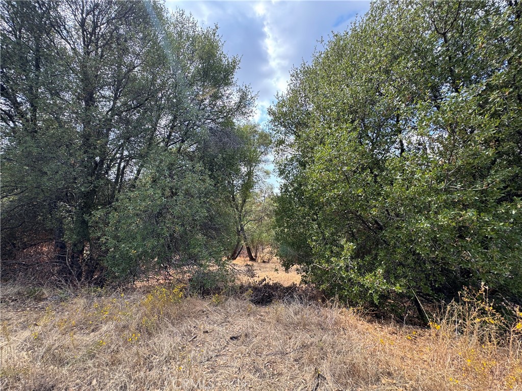 2 AC Summerhill LN, Coarsegold, CA 93614