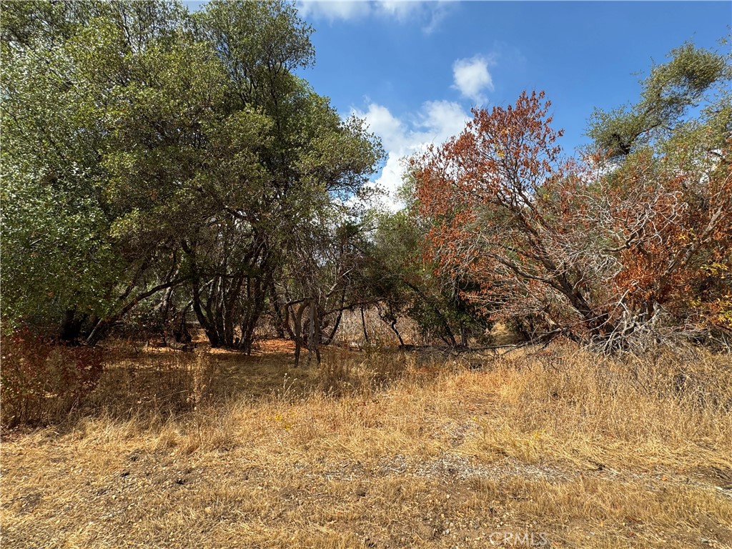 2 AC Summerhill LN, Coarsegold, CA 93614