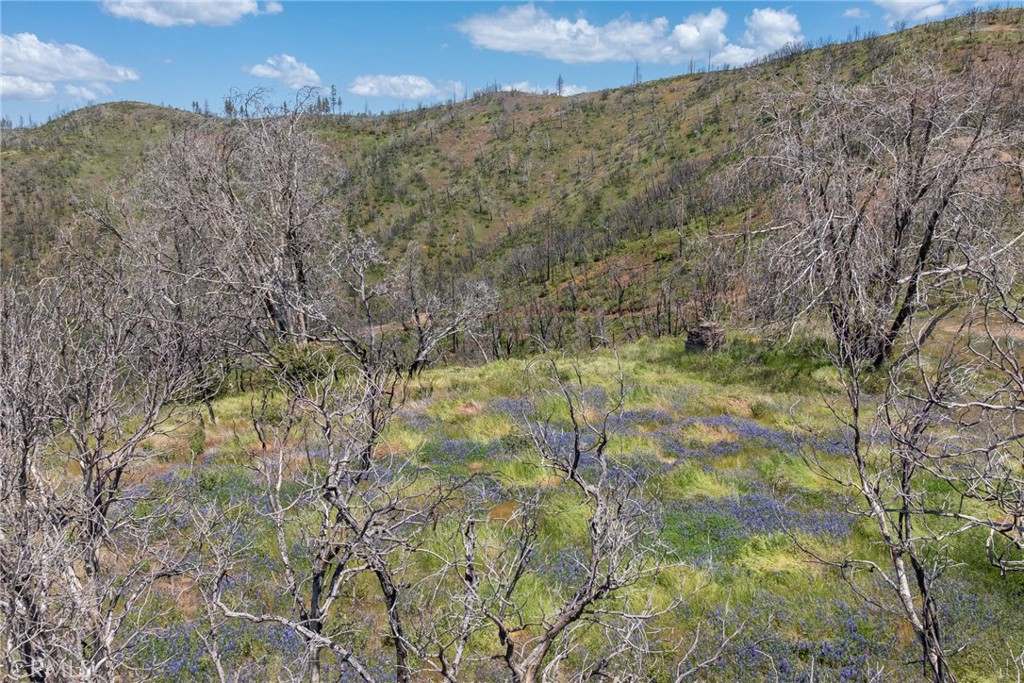 39 Acres Buckingham Mountain Rd, Mariposa, CA 95338