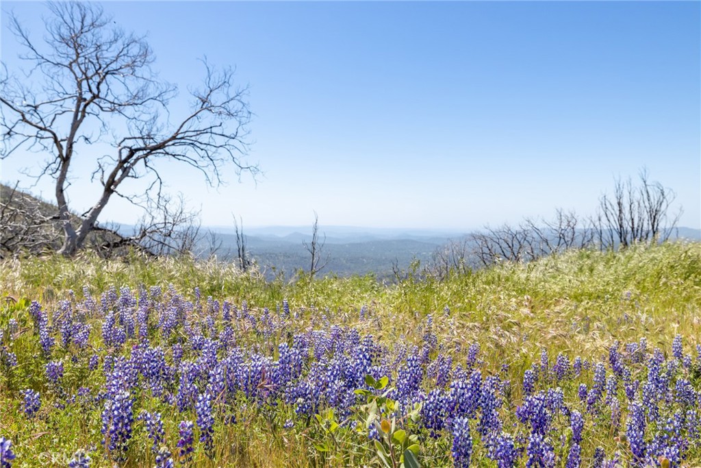 39 Acres Buckingham Mountain Rd, Mariposa, CA 95338