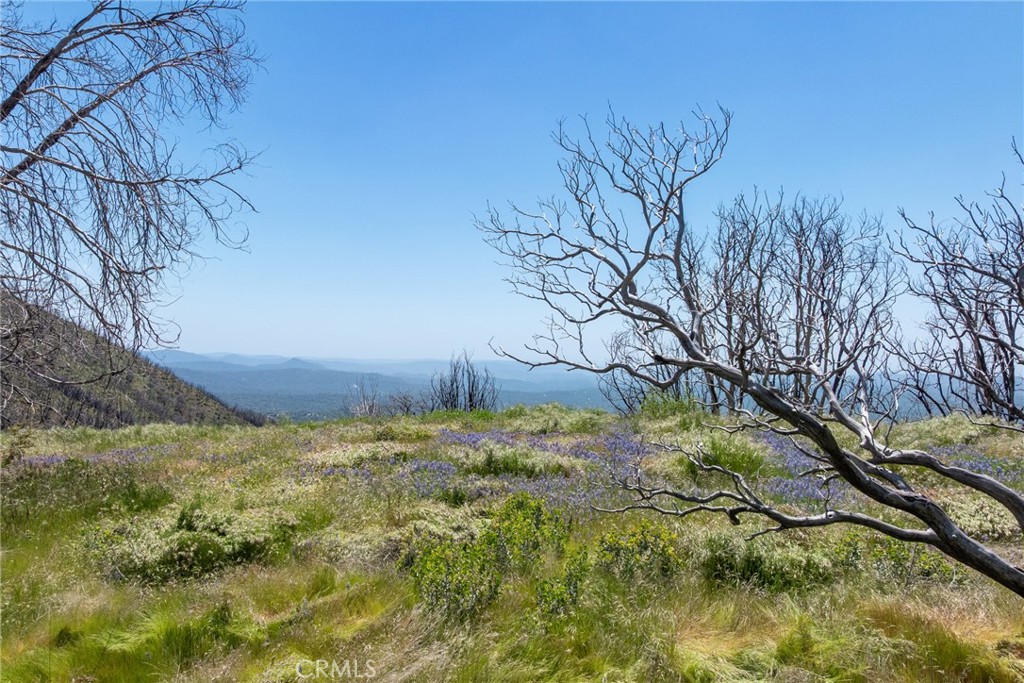 39 Acres Buckingham Mountain Rd, Mariposa, CA 95338