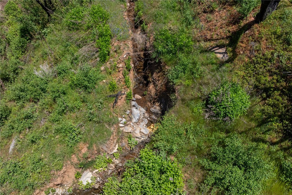 39 Acres Buckingham Mountain Rd, Mariposa, CA 95338