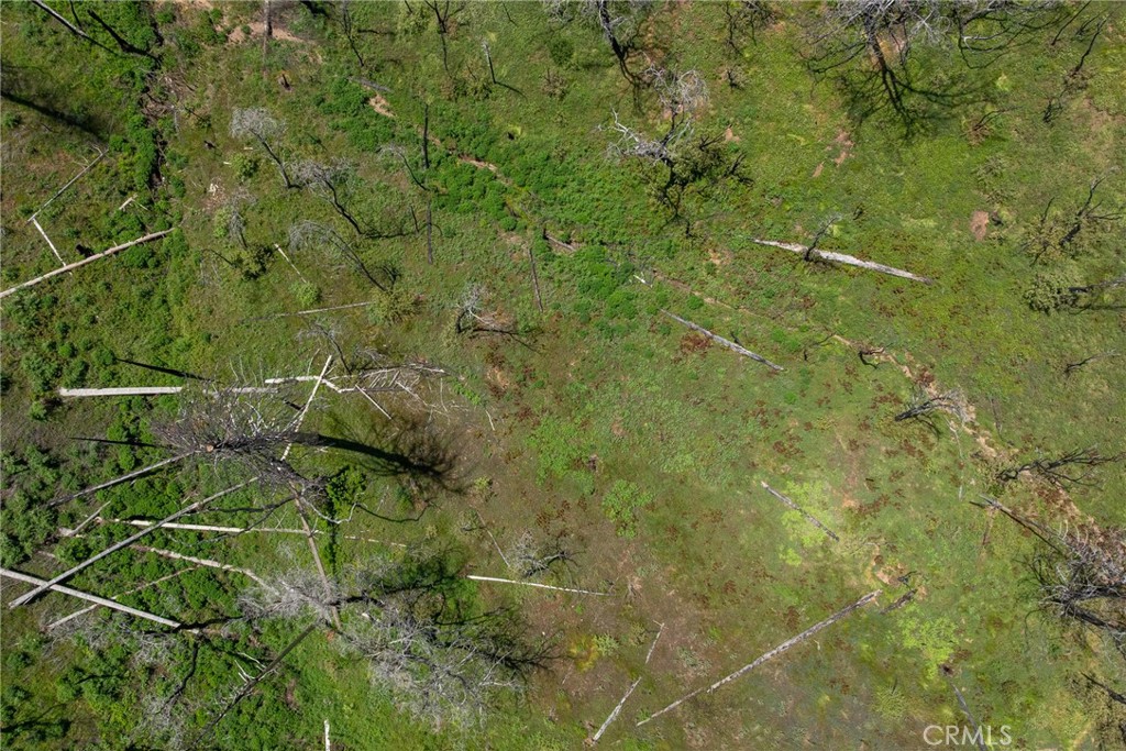 39 Acres Buckingham Mountain Rd, Mariposa, CA 95338