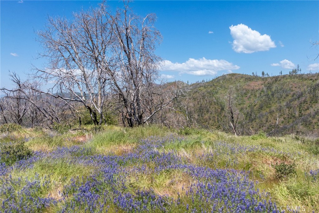 39 Acres Buckingham Mountain Rd, Mariposa, CA 95338