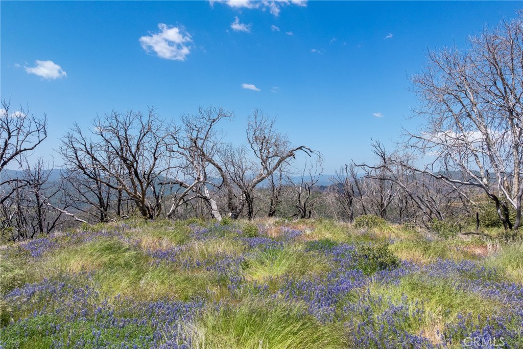 39 Acres Buckingham Mountain Rd, Mariposa, CA 95338