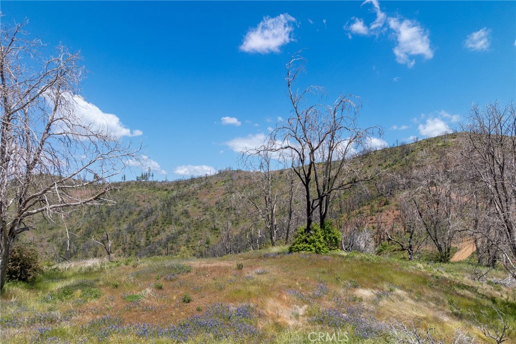 39 Acres Buckingham Mountain Rd, Mariposa, CA 95338