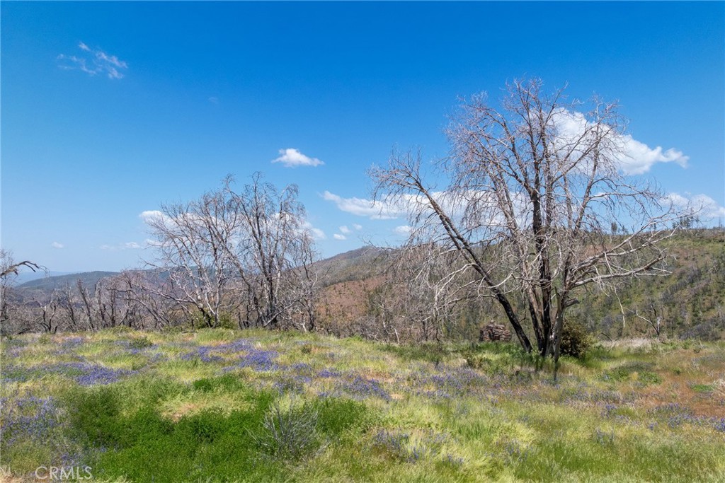 39 Acres Buckingham Mountain Rd, Mariposa, CA 95338