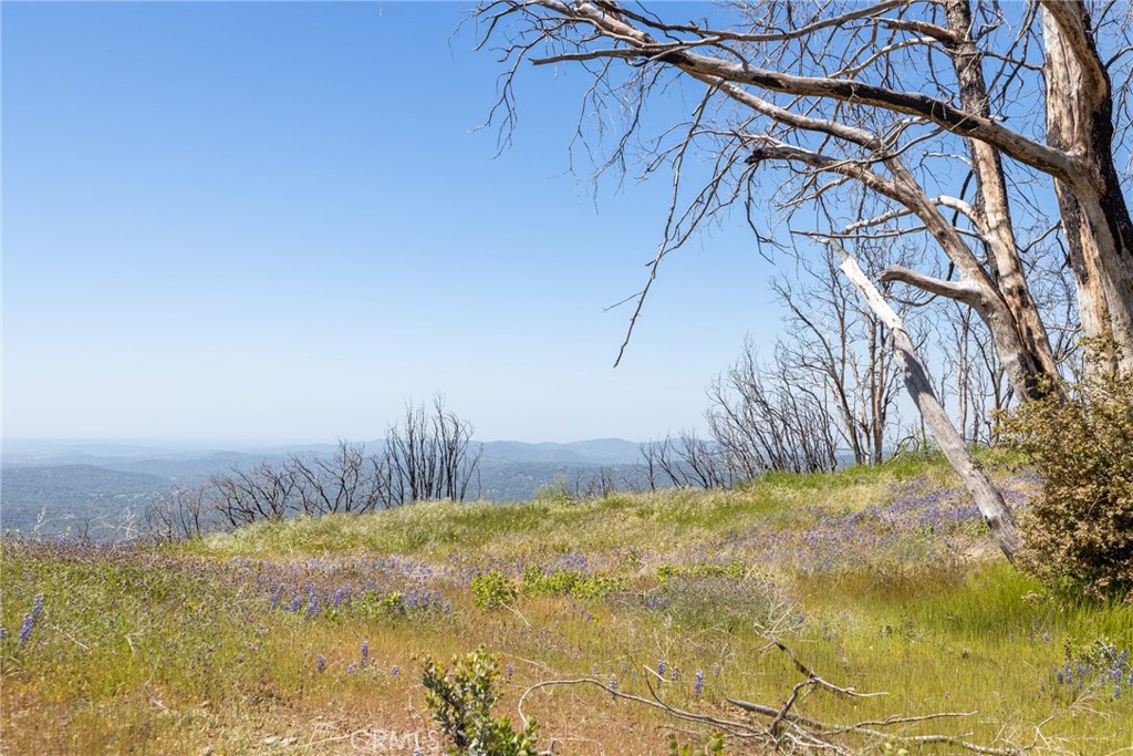 39 Acres Buckingham Mountain Rd, Mariposa, CA 95338