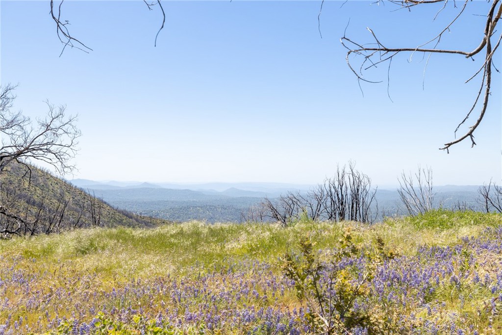 39 Acres Buckingham Mountain Rd, Mariposa, CA 95338