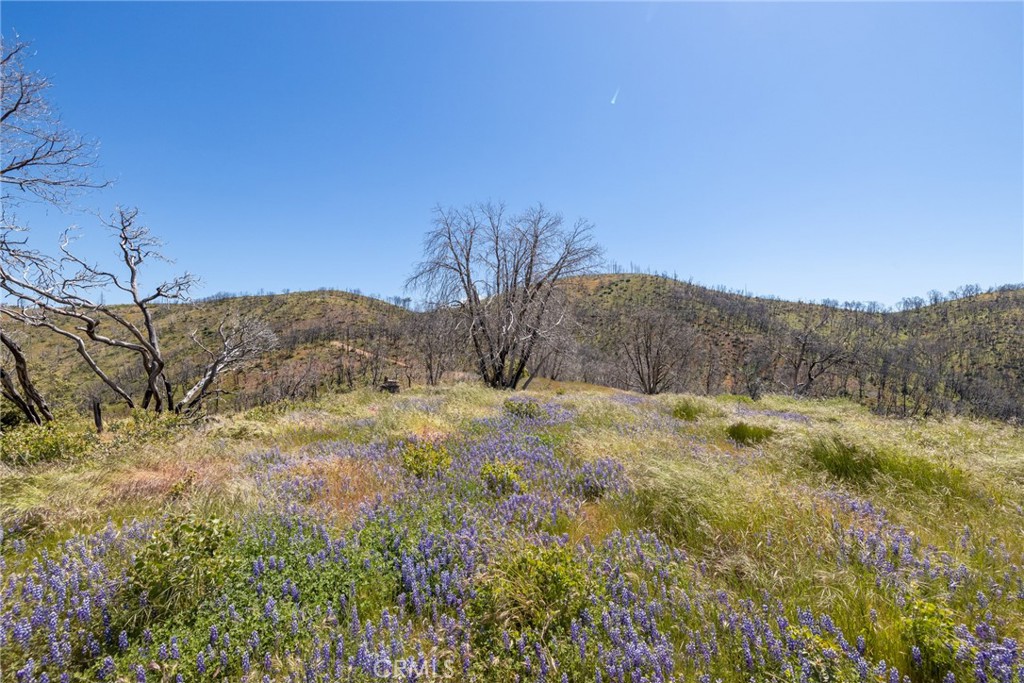 39 Acres Buckingham Mountain Rd, Mariposa, CA 95338